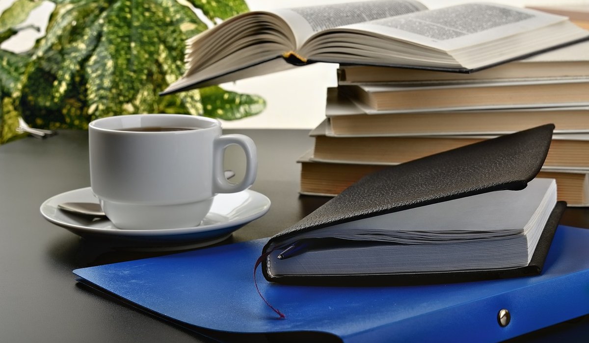 How Independent Bookshops Curate Local Reading Tastes