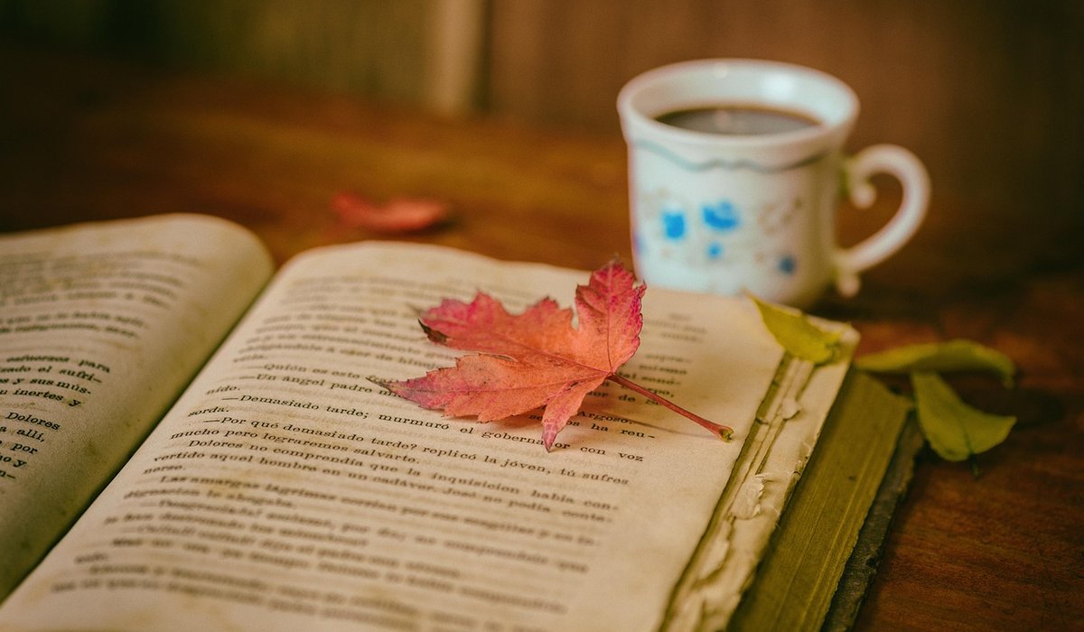 How to Organise a Home Library with Purpose